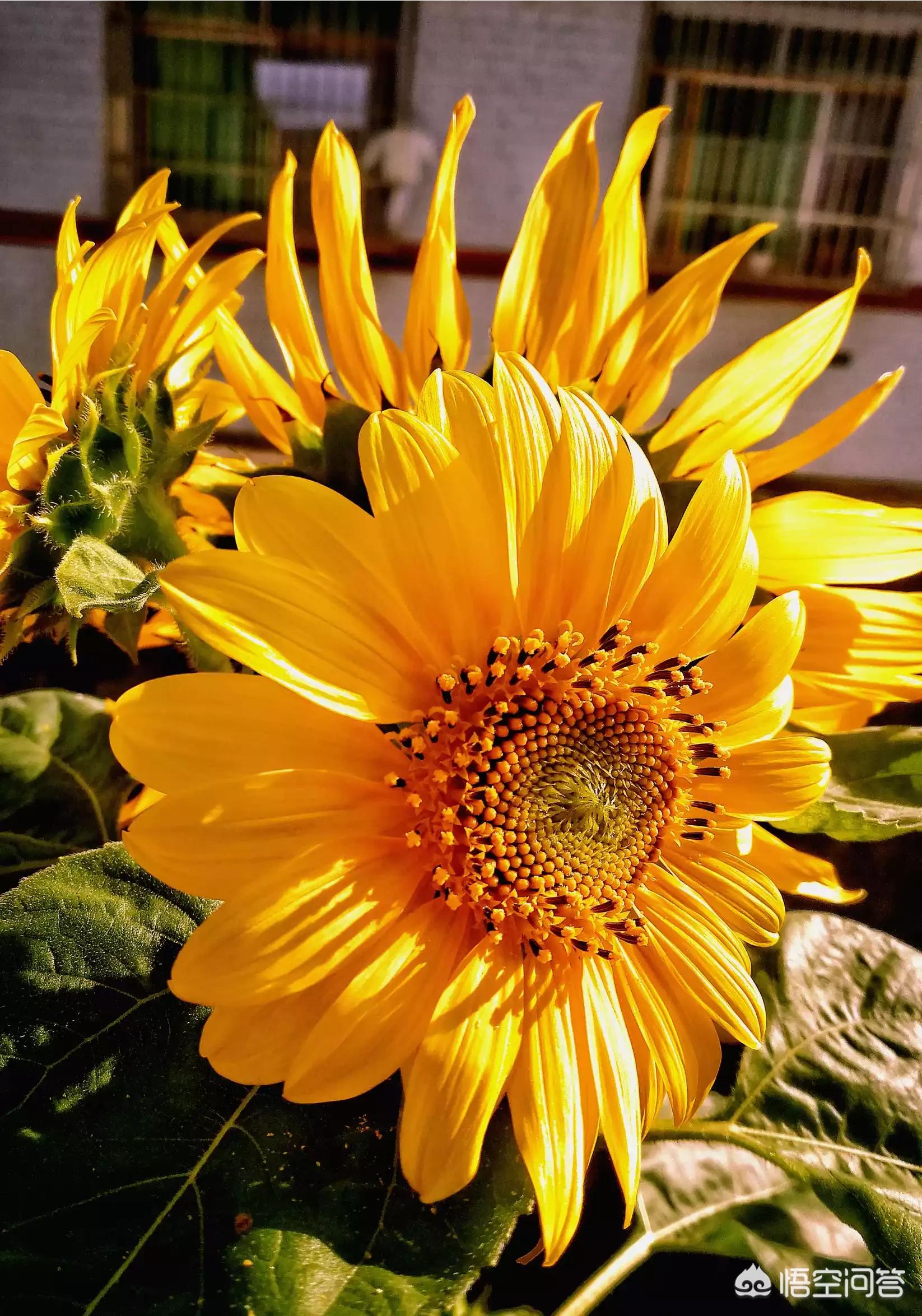 吉他和弦转换慢?这 4 个练习方法让你快如闪电! 吉他和弦转换慢?这 4 个练习方法让你快如闪电!